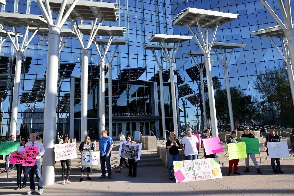 Manifestantes del refugio The Animal Foundation frente al Ayuntamiento de Las Vegas antes de un ...