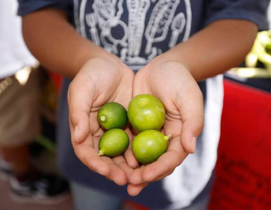 El estudiante de Goynes Elementary School Jace Chong, de 10 años, muestra limas el jueves 20 d ...