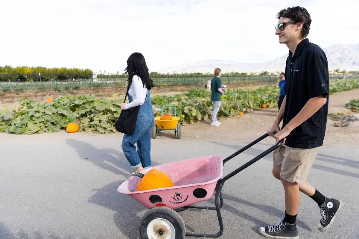 Summer Hall, a la izquierda, y su esposo James, visitan Gilcrease Orchard en Las Vegas, el juev ...