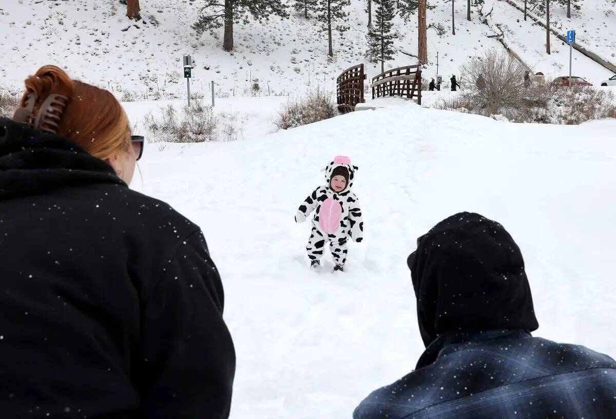 Levi Rivas, de 18 meses, de North Las Vegas, juega en la nieve recién caída con sus padres, S ...
