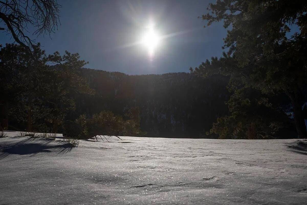 Hasta 12 pulgadas de nieve es posible en las Spring Mountains esta semana, según el Servicio M ...