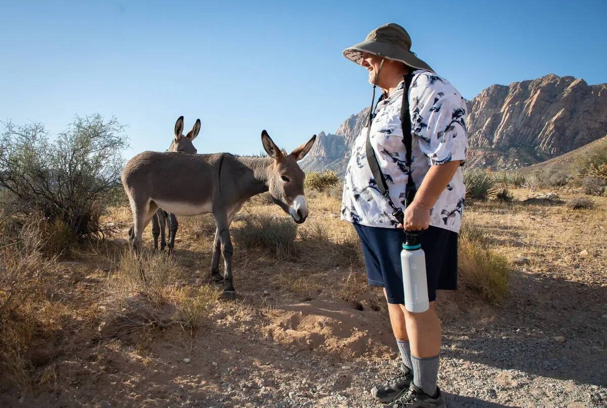 William Miller, de 65 años, observa una pareja de burros salvajes durante una caminata matutin ...