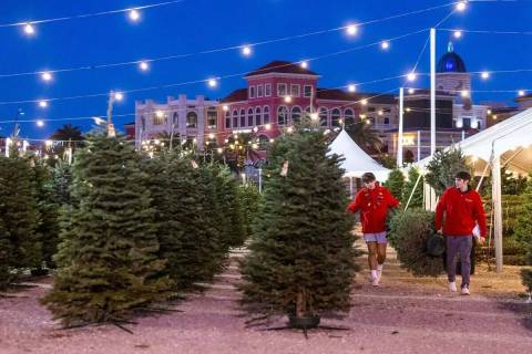 Un árbol es llevado al área de preparación para un cliente en Rudolph's Christmas Tress el m ...