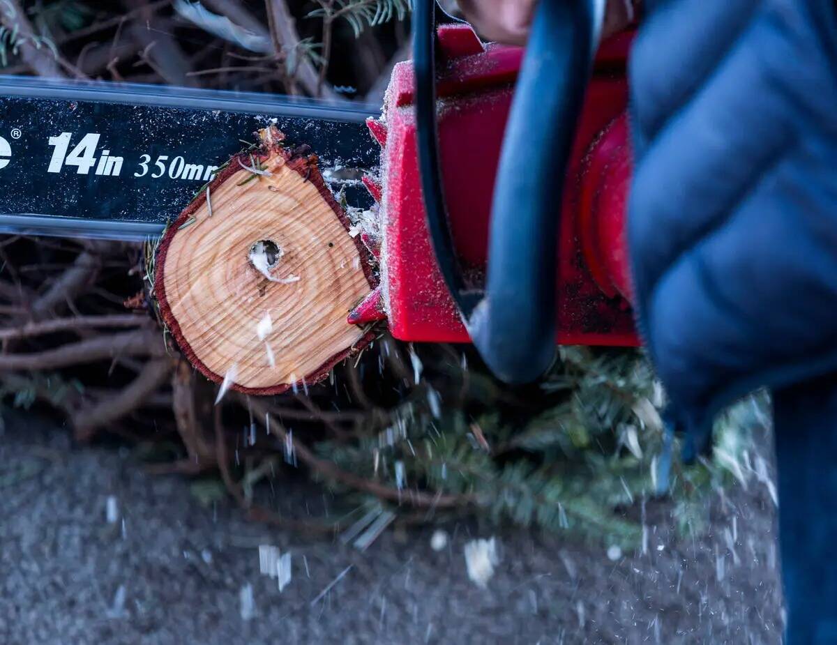 Un árbol recibe un corte limpio durante la compra en Rudolph's Christmas Tress el martes 29 de ...