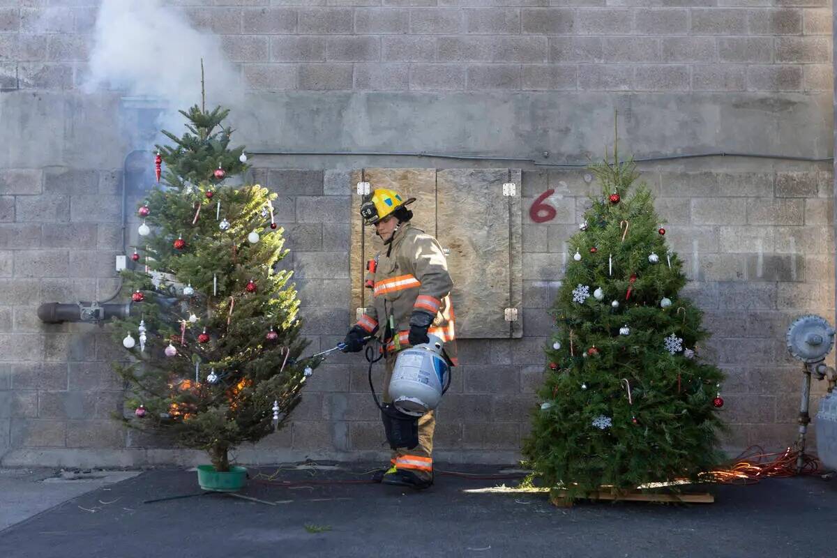 Un bombero le prende fuego a un árbol de Navidad durante una demostración sobre los peligros ...