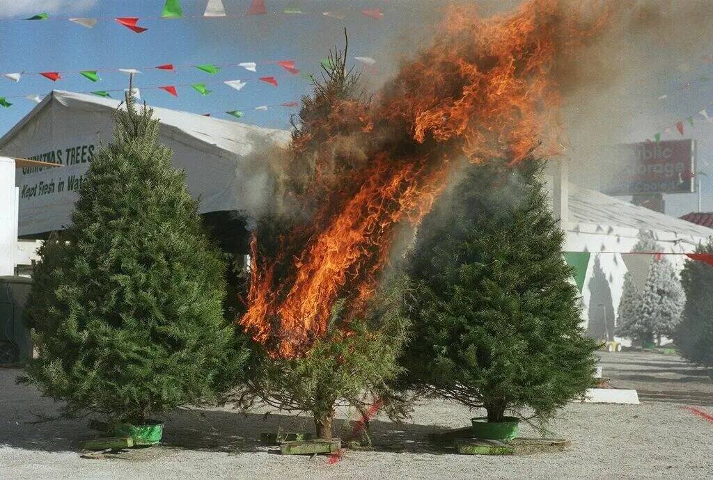 Un árbol de Navidad arde durante una demostración del Departamento de Bomberos del Condado Cl ...