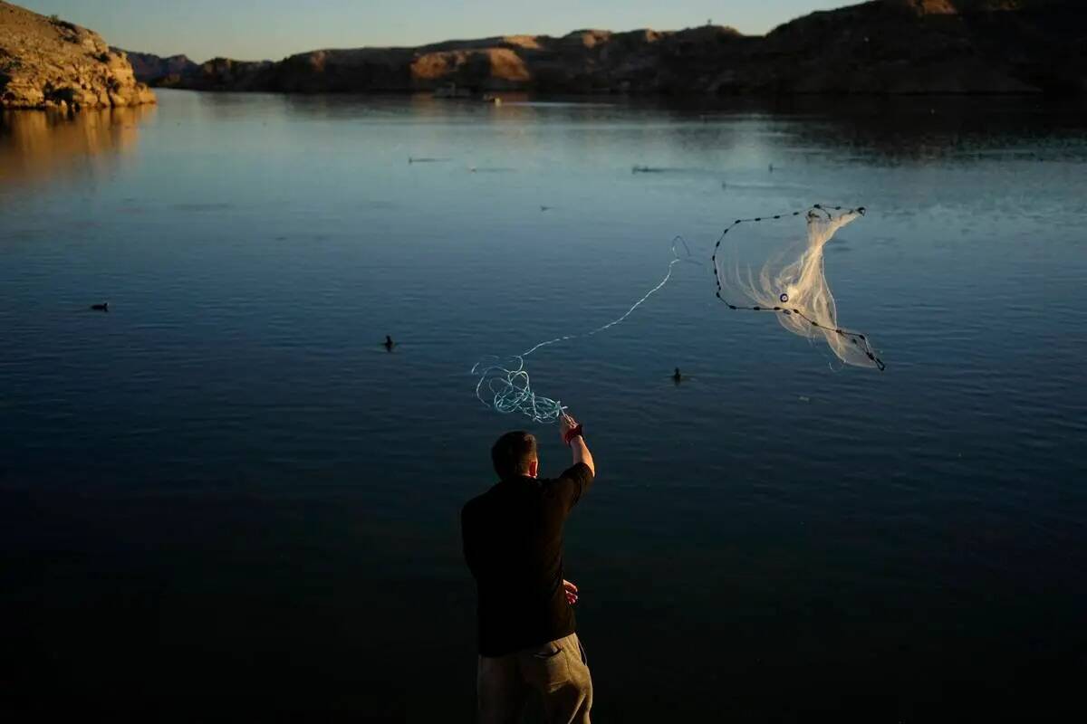 Un pescador lanza una red en la orilla del Lago Mead, en el Área Recreativa Nacional del Lago ...