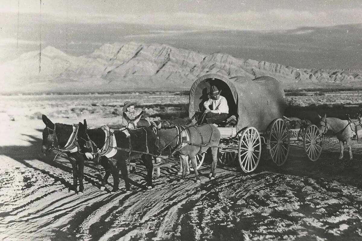 Un minero anónimo sentado en un carrito tirado por burros a principios de la década de 1910, ...