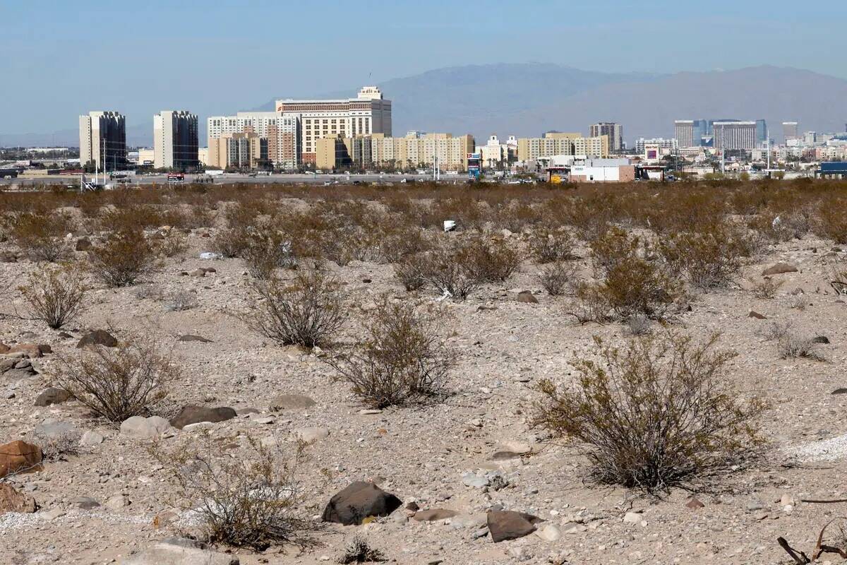 En la esquina sureste de Las Vegas Boulevard y Chartan Avenue se ve un terreno donde está prev ...
