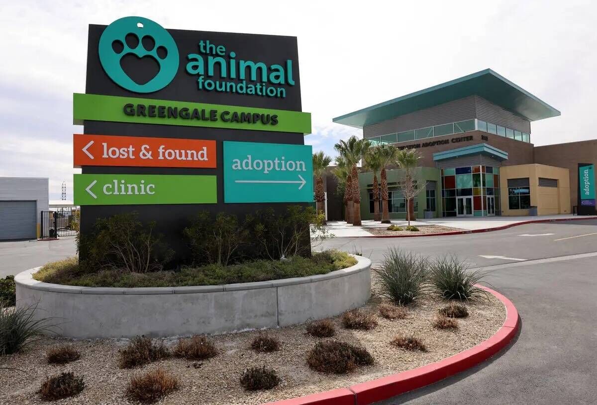 The Animal Foundation en Las Vegas lunes, 6 de marzo de 2023. (K.M. Cannon/Las Vegas Review-Jou ...
