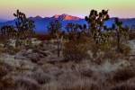 ‘Lugar de sanación’: Avi Kwa Ame nombrado cuarto monumento nacional de Nevada