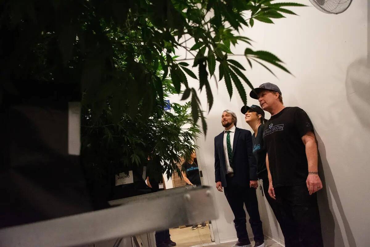 Desde la izquierda, Will Adler, un cabildero que representa a la Sierra Cannabis Coalition, y l ...