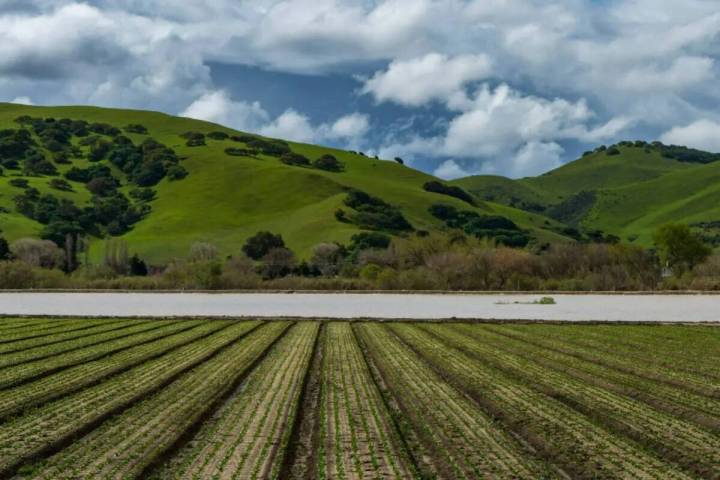 Las aguas del aumento del río Salinas llenan los campos agrícolas en Spreckels, California, e ...
