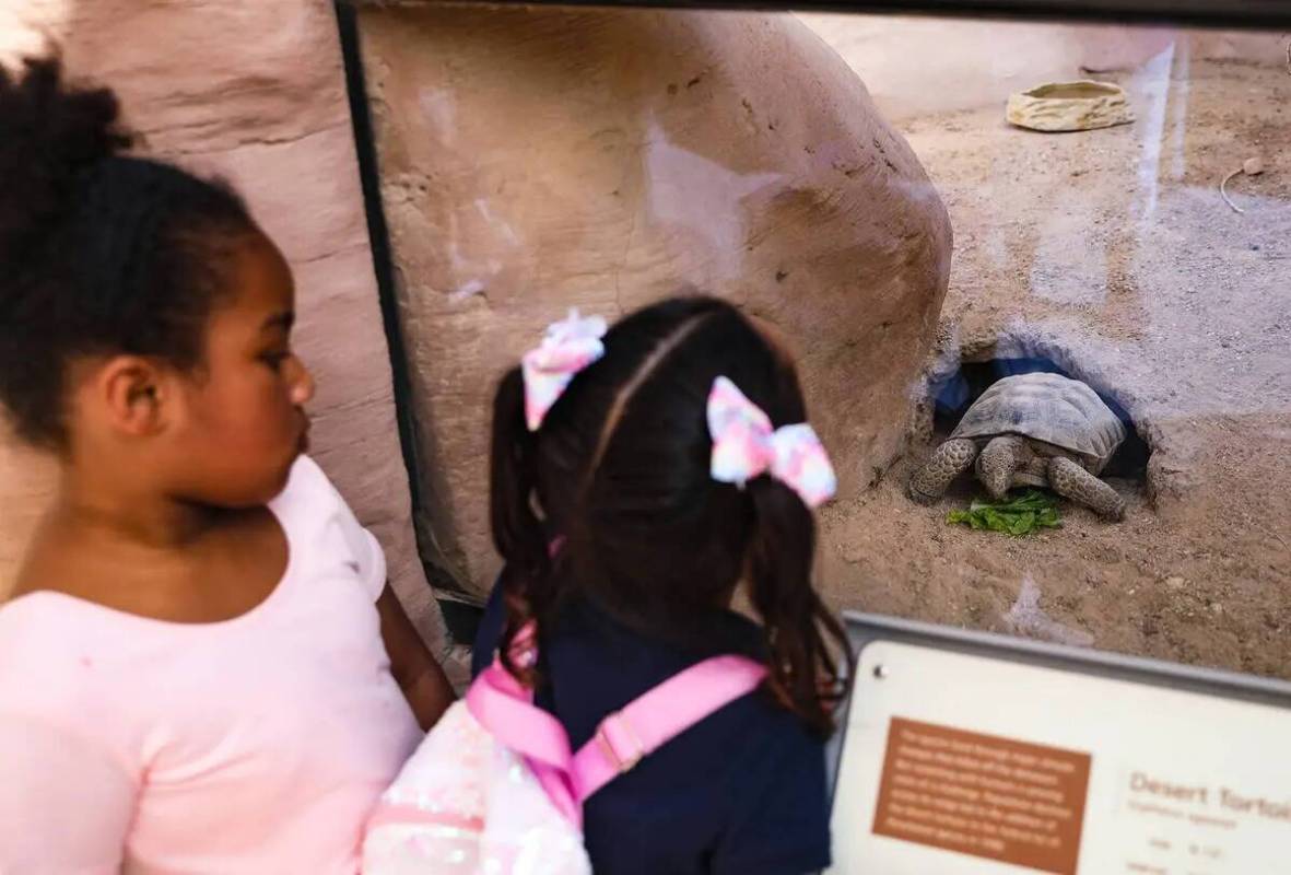 Amelia Kusasira, de cinco años, a la izquierda, y Raven Johnson, de cinco años, a la derecha, ...