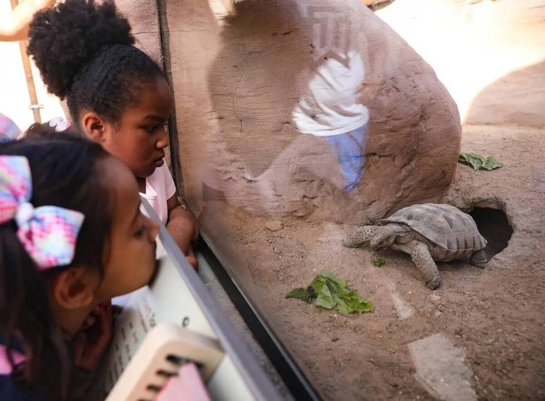 Raven Johnson, de cinco años, a la izquierda, y Amelia Kusasira, de cinco años, en el centro, ...