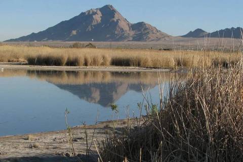 Vista de Frenchman Mountain desde Wetlands Park del Condado Clark (Las Vegas Review-Journal)