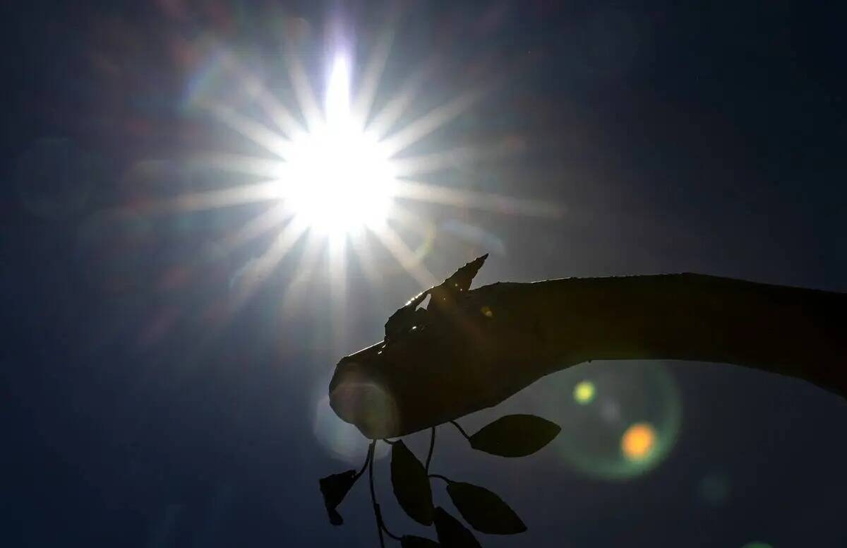 Puede que sea a mediados de junio cuando el aeropuerto de Las Vegas alcance los 100° F en 2023 ...