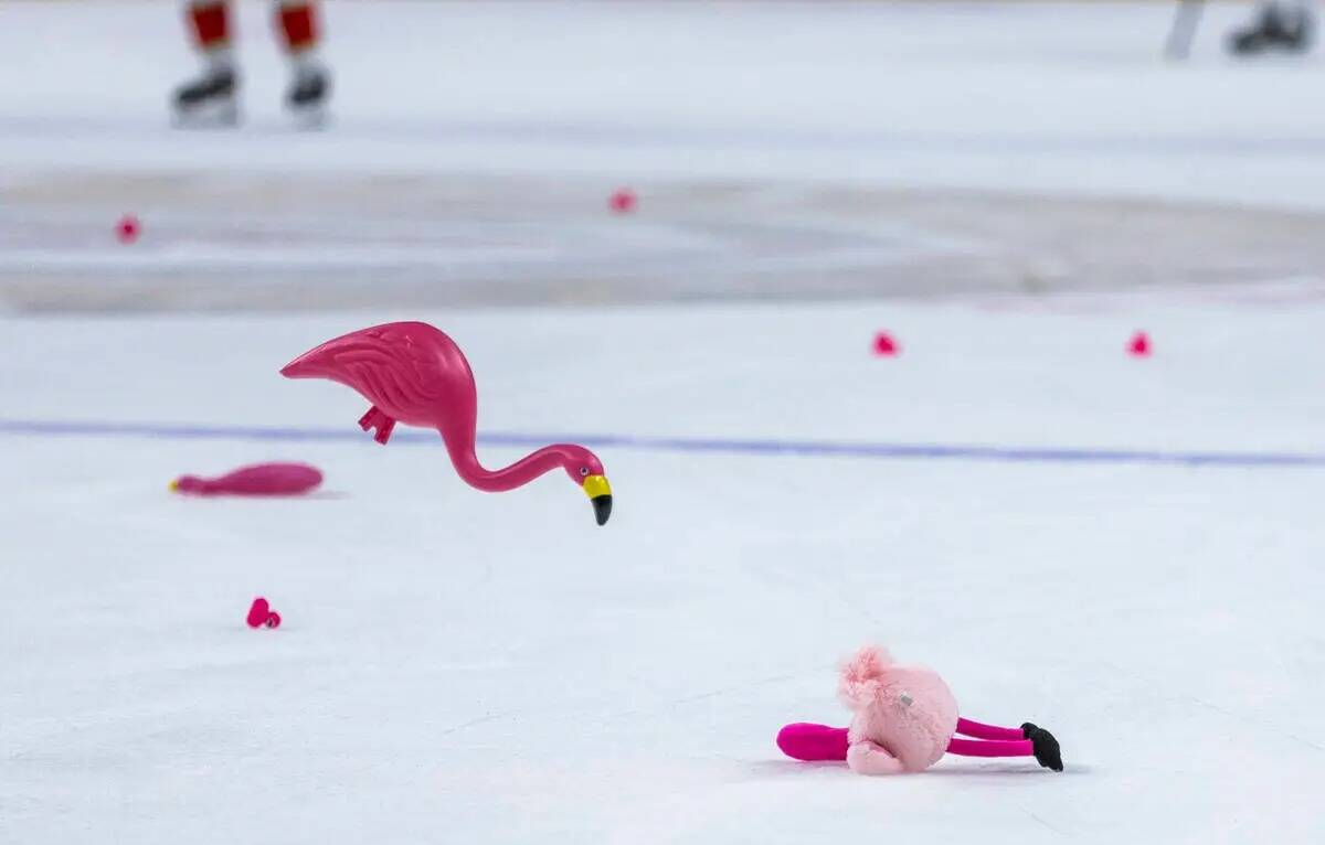 Los Flamingos son lanzados al hielo mientras los Golden Knights derrotan a los Florida Panthers ...