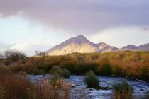 Un mirador de Las Vegas Wash en Wetlands Park del Condado Clarkcon vistas a las montañas del v ...