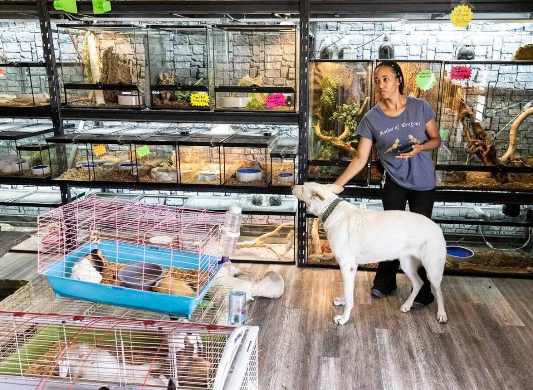 Stephanie Tracy, copropietaria de Wild Things, la tienda de animales exóticos, posa para una f ...