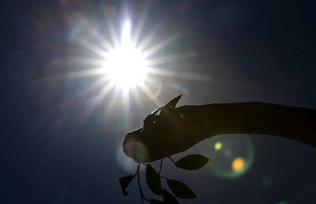 Los rayos del sol atraviesan una escultura metálica de un dinosaurio en el exterior de Artisti ...