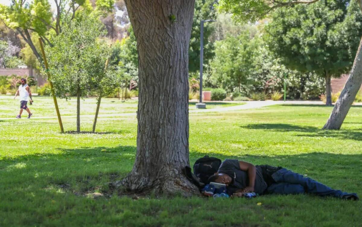 Un hombre descansa a la sombra de un árbol en Bob Baskin Park para refrescarse durante los 110 ...