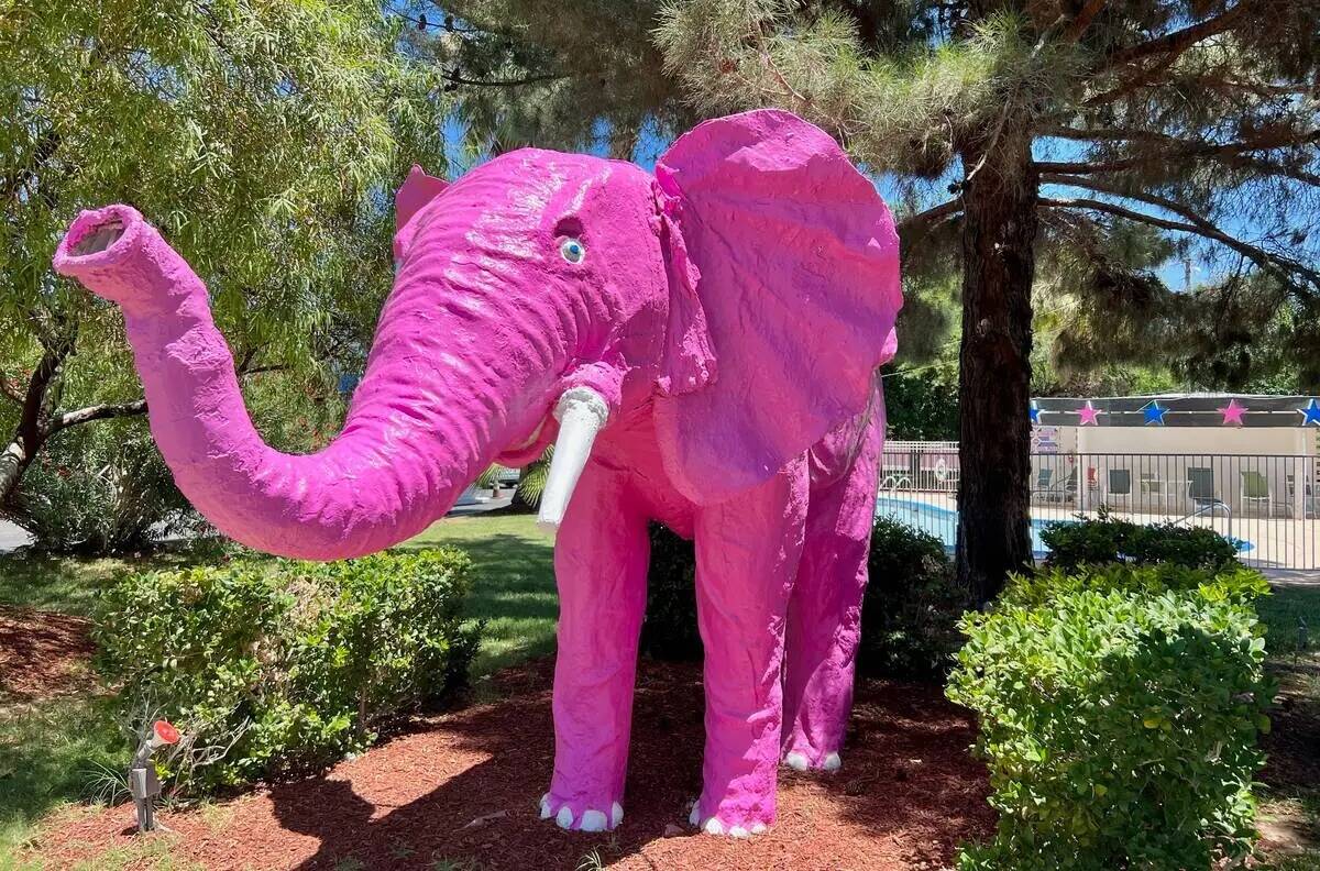 Este elefante rosa ha estado en el exterior de lo que ahora se conoce como Diamond Inn Motel al ...