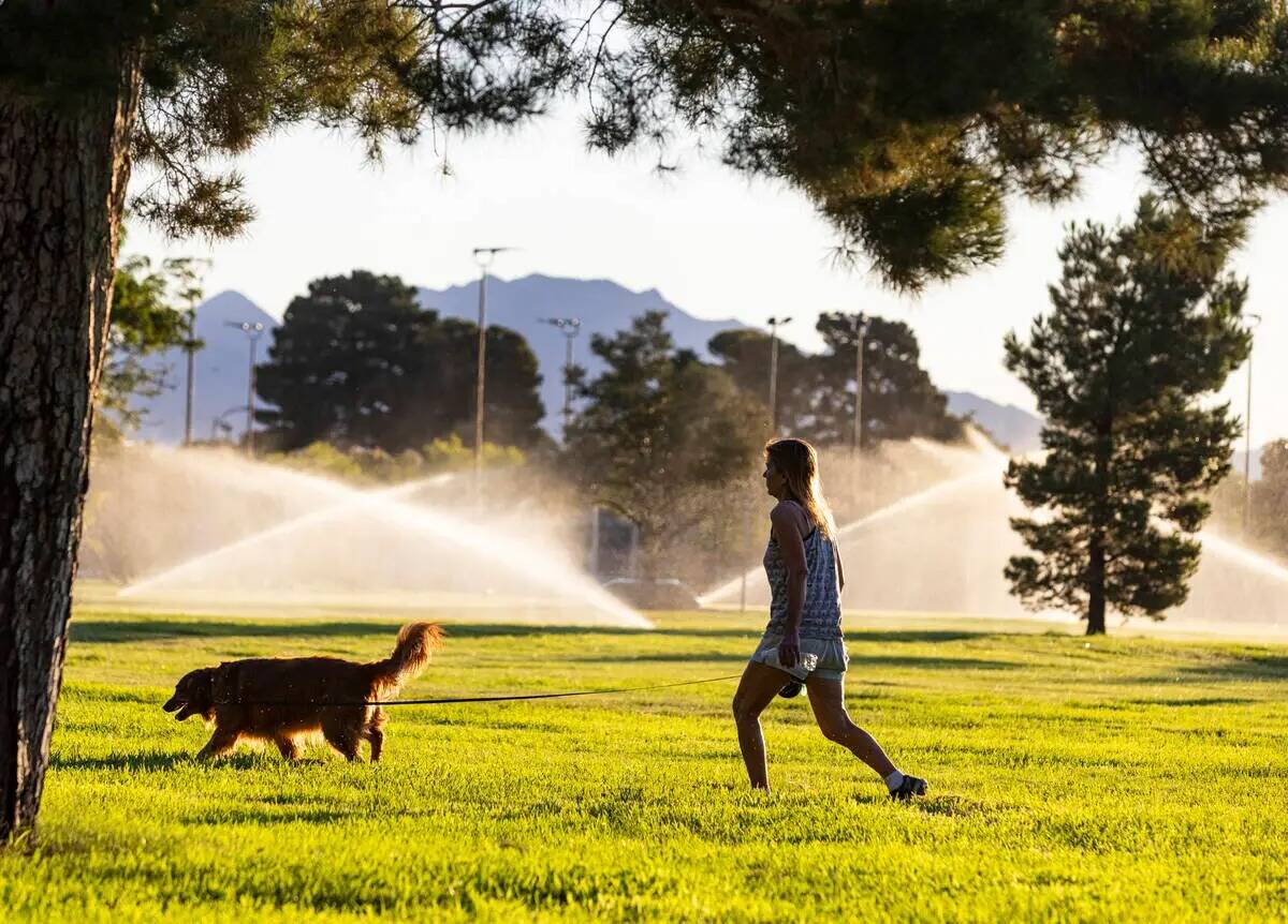 Una mujer pasea a su perro mientras los aspersores rocían agua sobre el espacio verde en Sunse ...