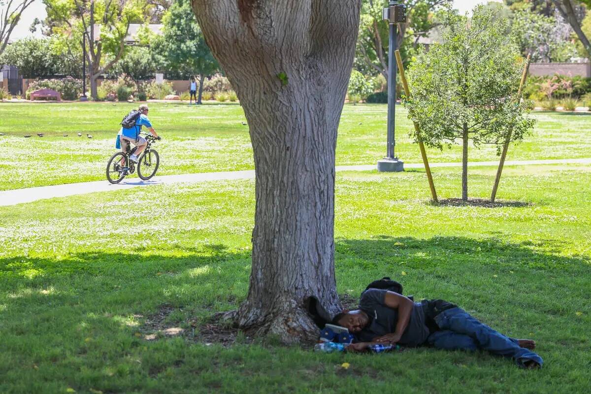 Un hombre descansa en la sombra bajo un árbol en Bob Baskin Park para refrescarse durante el c ...