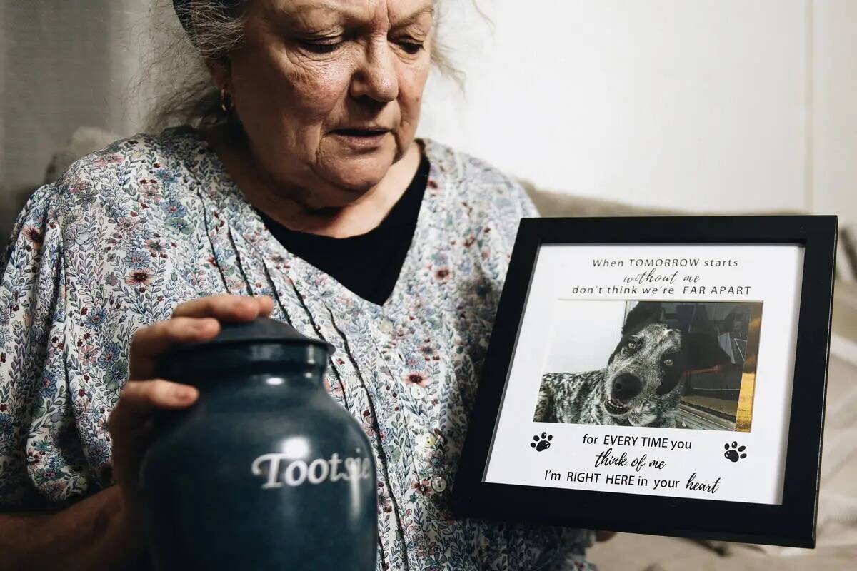 Debbie Hogan sostiene una fotografía de su perra, Tootsie, el 5 de julio de 2023, en su casa d ...