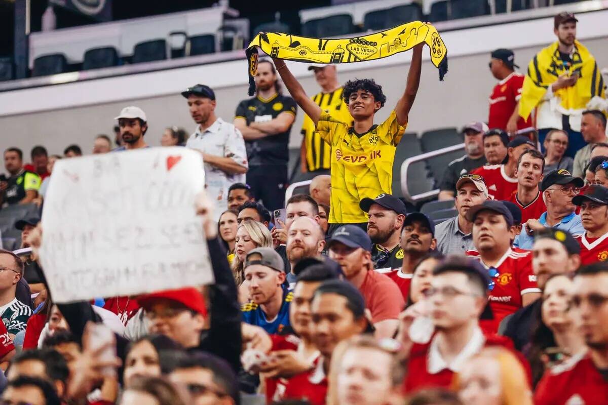 Un fan del Borussia Dortmund agita una bufanda del equipo en el aire durante un partido contra ...