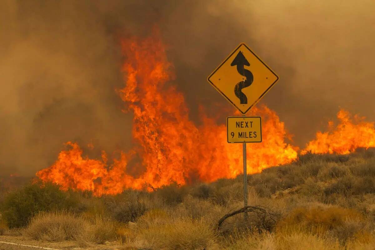 Las llamas se elevan desde el incendio de York en Ivanpah Rd. el domingo 30 de julio de 2023, e ...