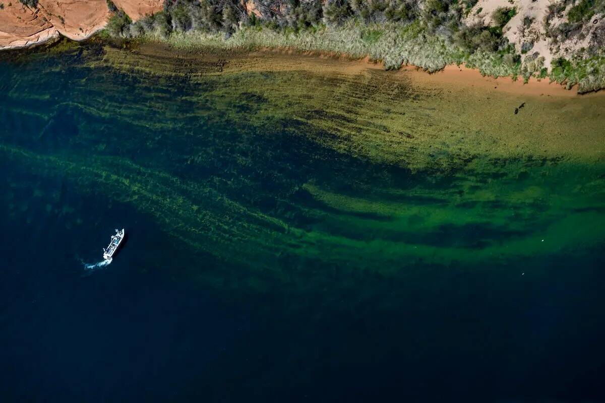 Un bote navega por el río Colorado cerca de Horseshoe Bend el 18 de abril de 2023, en Page, Ar ...