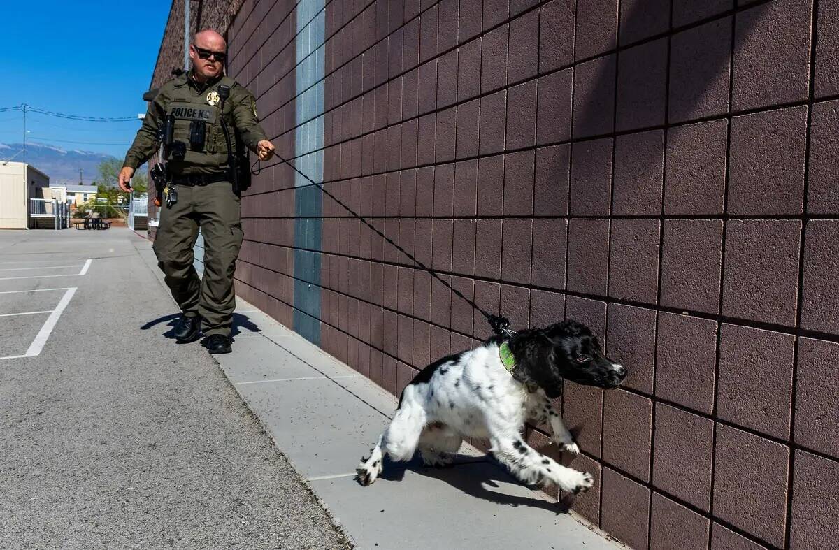 El agente K-9 del Departamento de Policía del Distrito Escolar del Condado Clark, Joe Cordsen, ...