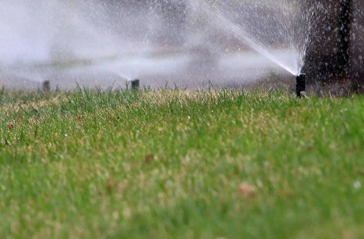 Las tormentas que azotaron la región durante el fin de semana dejaron caer suficiente agua en ...