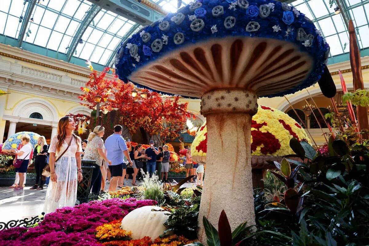 Nicole Shantei, de Puerto Rico, contempla la exposición otoñal "Enchantment" en el Bellagio C ...