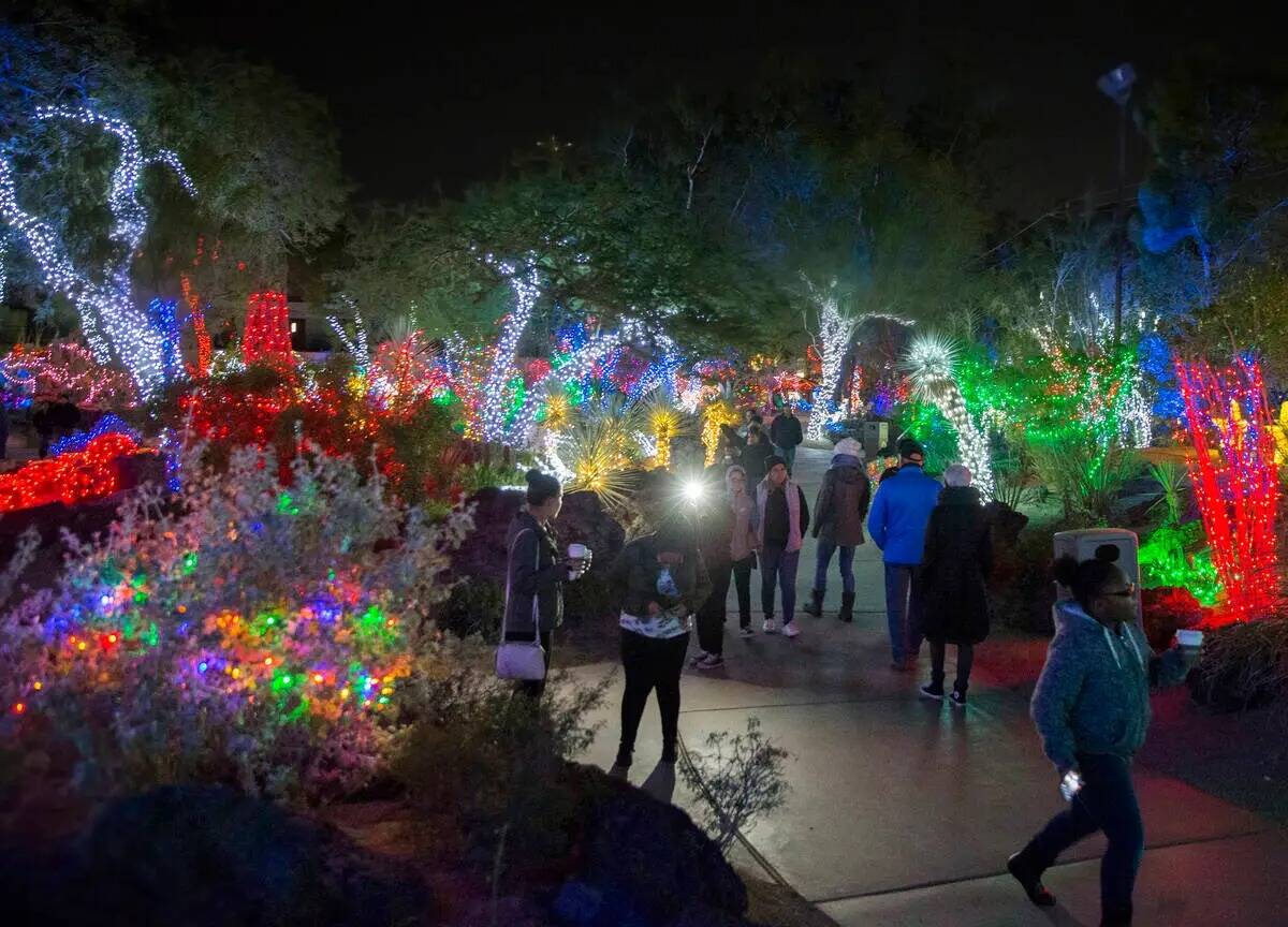 Los asistentes a las fiestas disfrutan de las luces en Ethel M Chocolates Botanical Cactus Gard ...