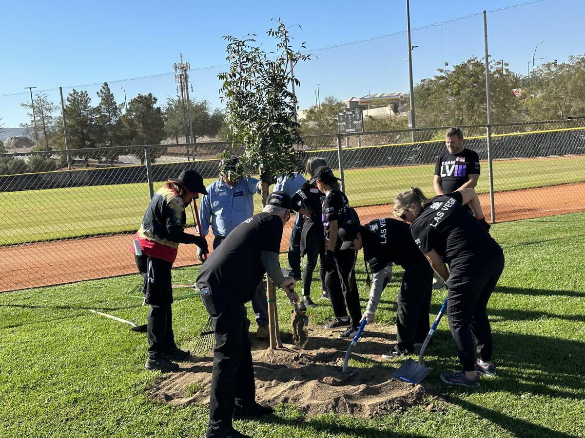 Voluntarios del Super Bowl LVIII plantan un árbol durante un evento de NFL Green en el Complej ...