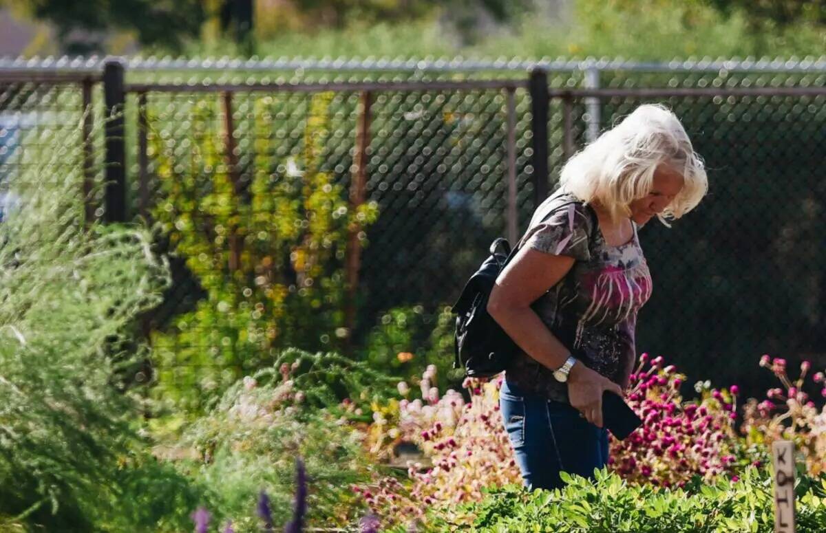 Un visitante observa un nuevo jardín comunitario en Pumpkin Park el jueves 26 de octubre de 20 ...