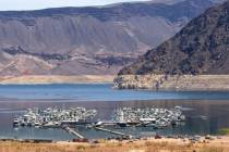 Botes atracados en Las Vegas Boat Harbor, en el Área Recreativa Nacional del Lago Mead, el lun ...
