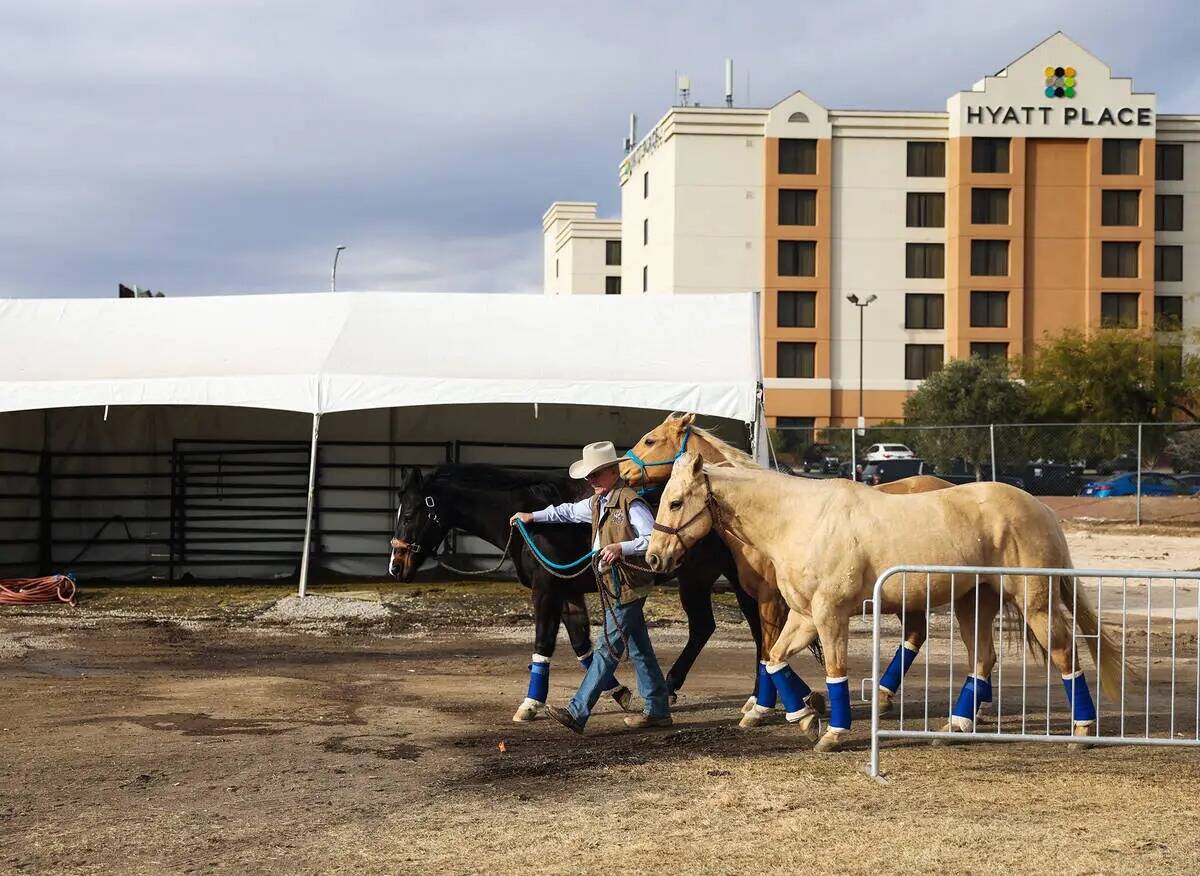 Los compradores echan un vistazo a los stands durante la Cowboy Christmas en Las Vegas Conventi ...