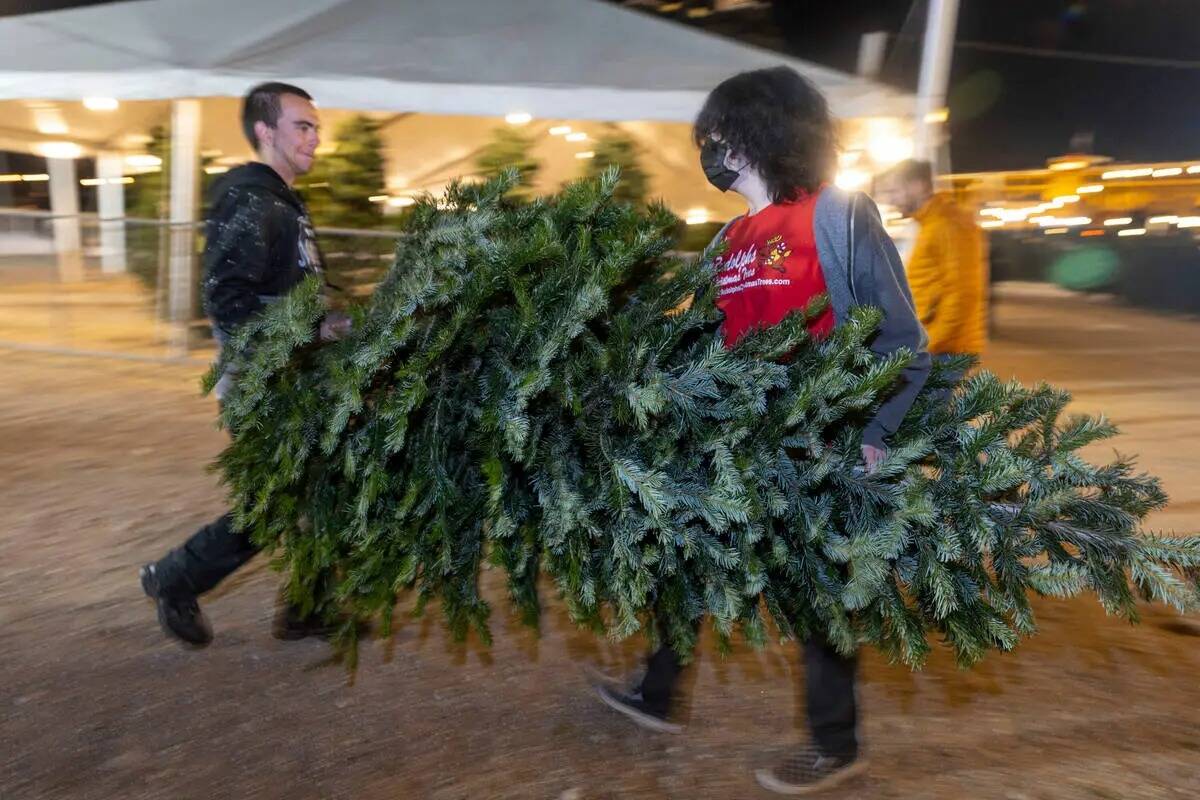 Gabriel Bennett, a la izquierda, y Dylan Zaudke llevan el árbol de un cliente a su vehículo e ...