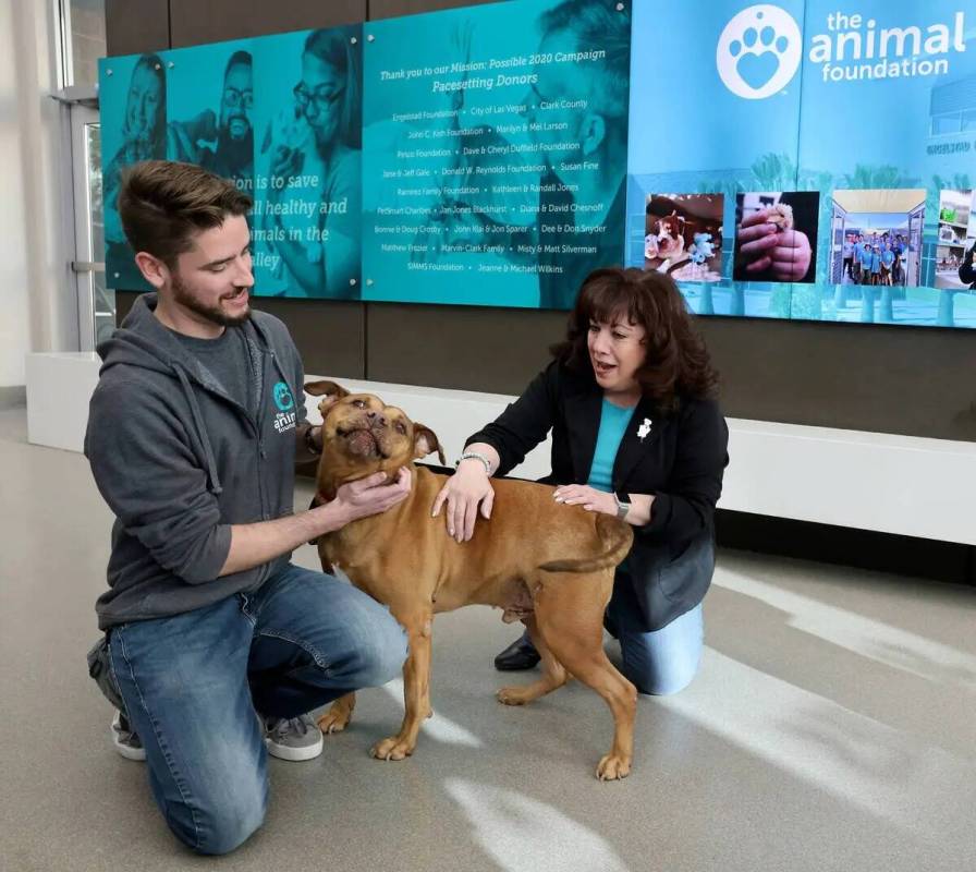 El coordinador de marketing y comunicaciones de The Animal Foundation, Max Blaustein, y la dire ...