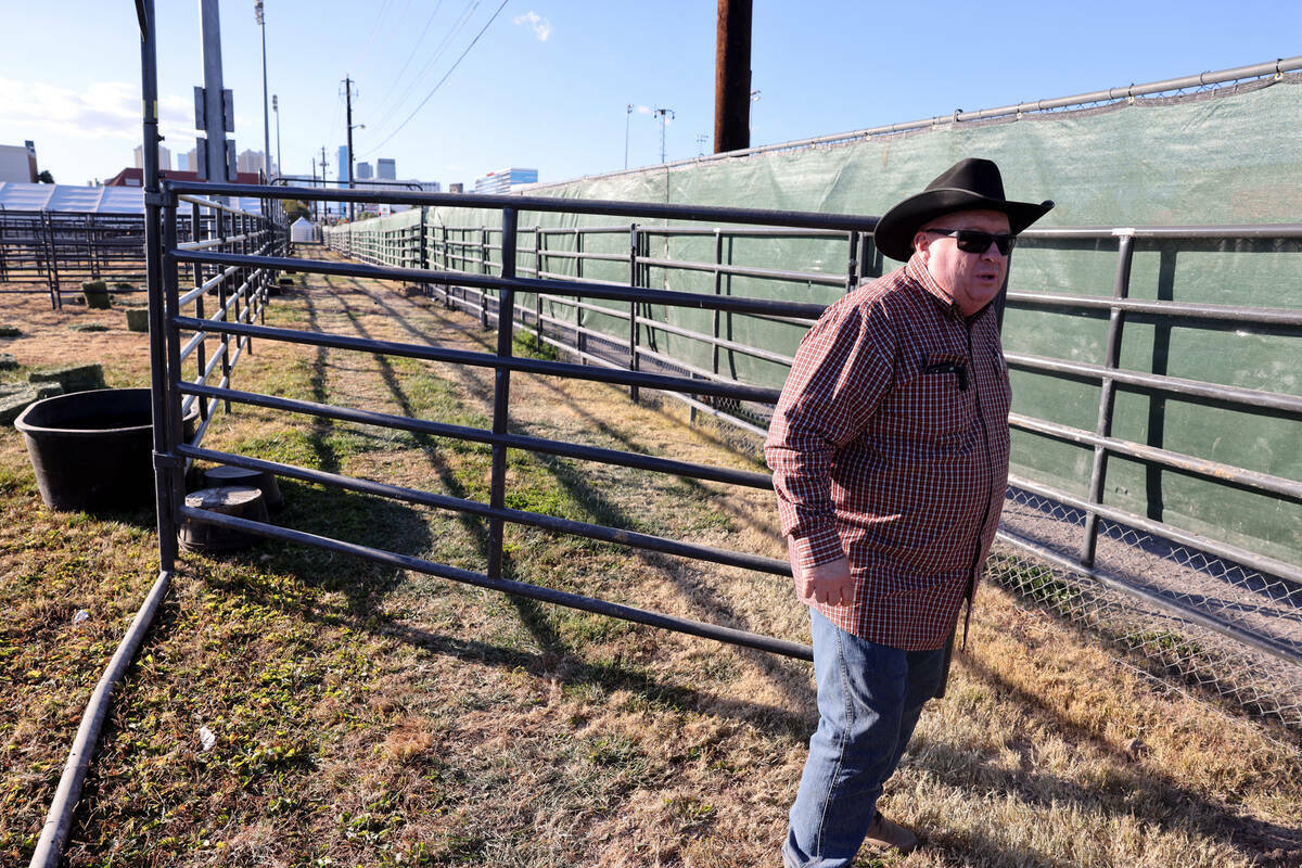 El superintendente de ganado del National Finals Rodeo, John Barnes, habla con un reportero en ...