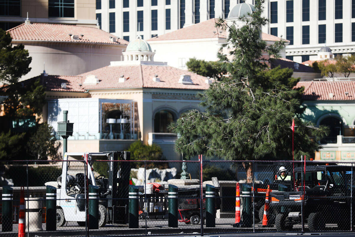 Los árboles afuera de las Fuentes del Bellagio en el Strip, en Las Vegas, el martes 12 de dici ...