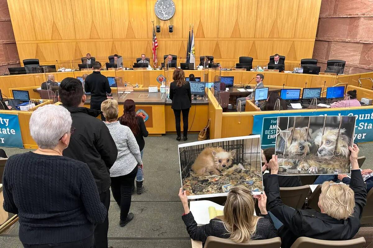 La Comisión del Condado Clark considera argumentos para prohibir la venta de perros, gatos, co ...