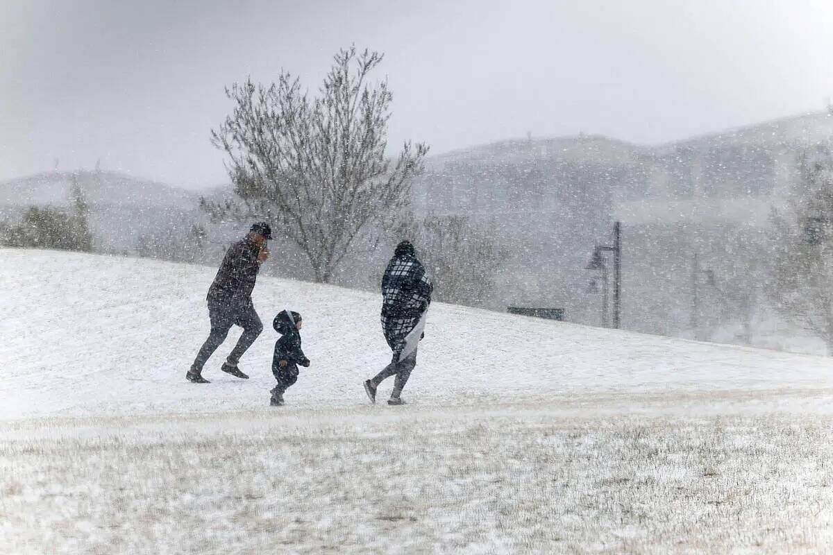 Fox Hill Park está cubierto de nieve como la gente camina por el parque contra el fuerte vient ...