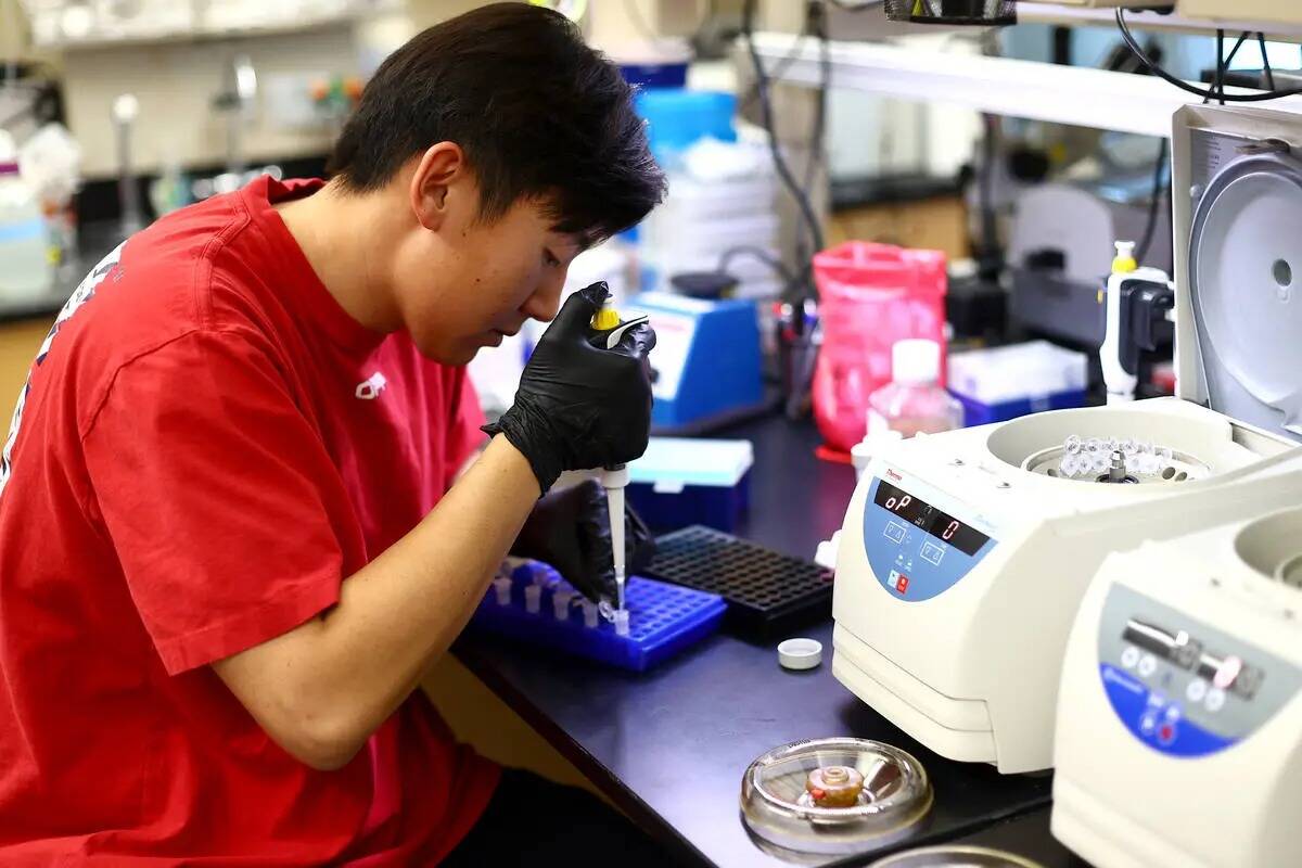 El estudiante Chris Oh analiza muestras de aguas residuales en un laboratorio del Edificio de C ...