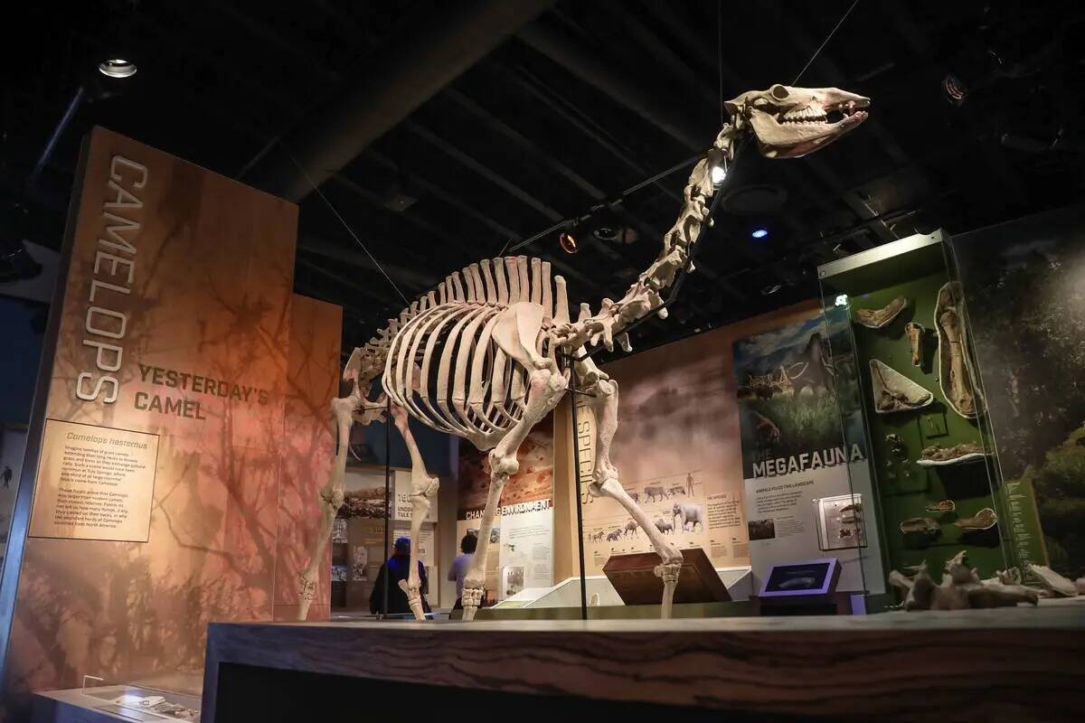 El centro de visitantes del Ice Age Fossils State Park en North Las Vegas, martes 16 de enero d ...
