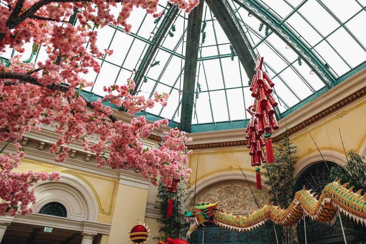 Exposición temática del Año Nuevo Chino en el Bellagio Conservatory and Botanical Gardens el ...